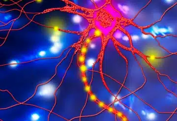 Photo of Benefits of Medicinal Signaling Cells Therapy