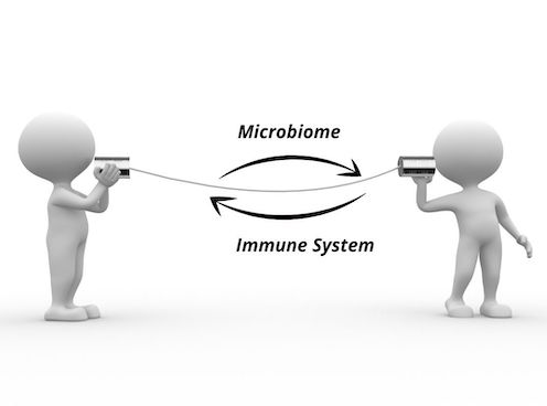5 Steps  To A Healthy Microbiome