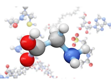 Three-dimensional molecular model representing the amino-acid structure of a peptide