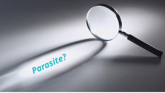 Beyond Parasites: What a Comprehensive Gut Test Can Reveal
