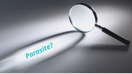 Beyond Parasites: What a Comprehensive Gut Test Can Reveal