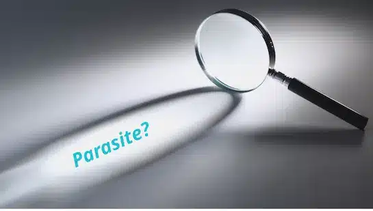 parasite-testing-magnifying-glass Magnifying glass over the word parasite, representing parasite testing