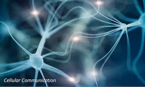 Conceptual illustration of cellular communication